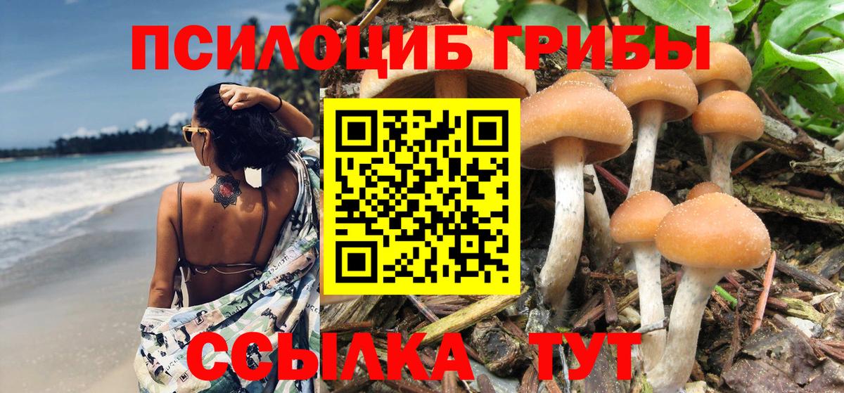 Псилоцибиновые грибы Psilocybine cubensis Югорск